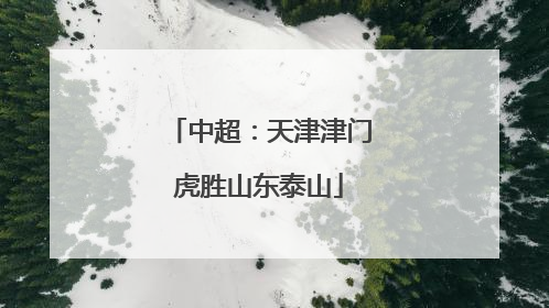 中超：天津津门虎胜山东泰山